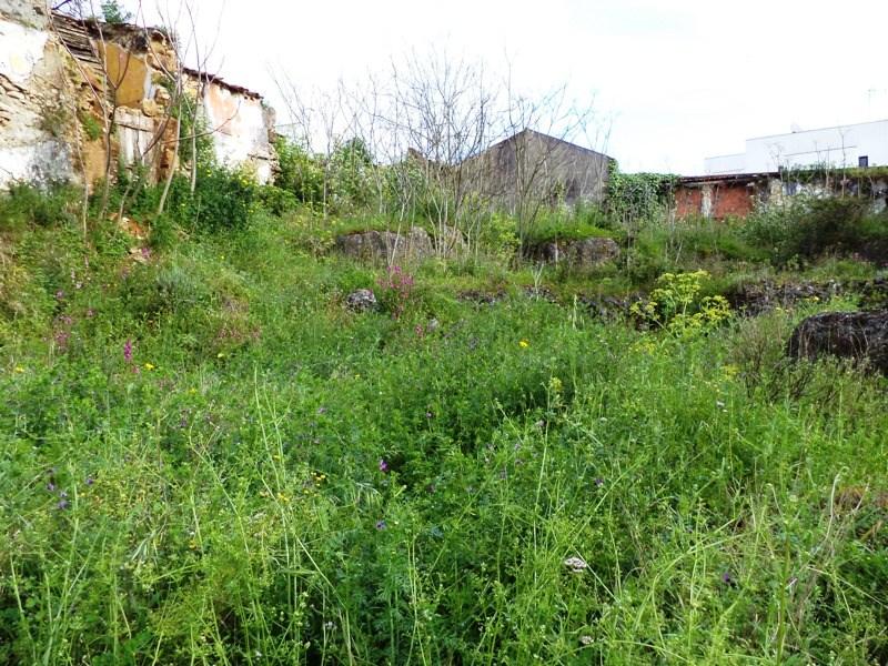 Terreno com 820 m2 com possibilidade de permuta