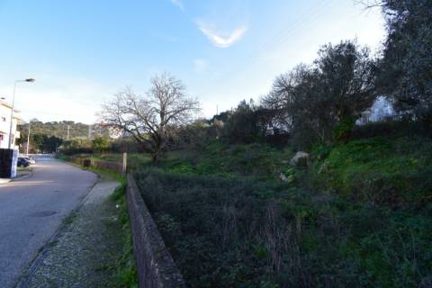 Terreno Urbano