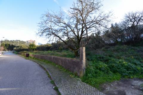 Terreno Urbano
