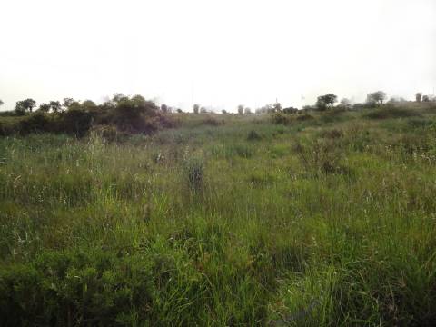 Terreno para construção de moradias