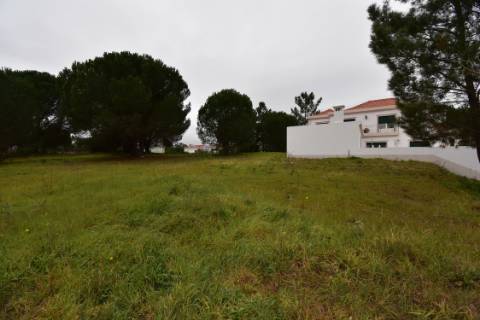 Terreno Urbano