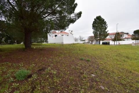 Terreno Urbano