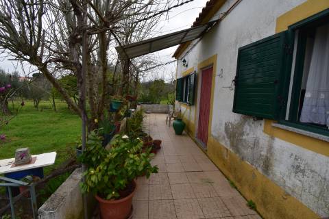 Conjunto de 2 terrenos rústicos com moradia térrea T2 localizado nas Mouriscas