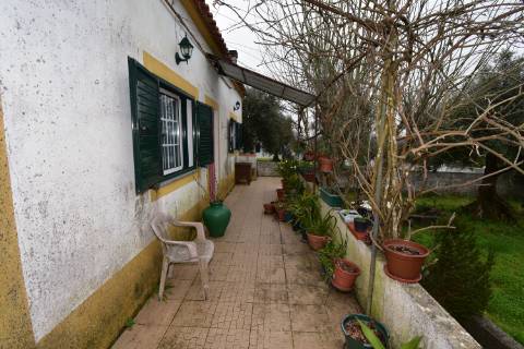Conjunto de 2 terrenos rústicos com moradia térrea T2 localizado nas Mouriscas