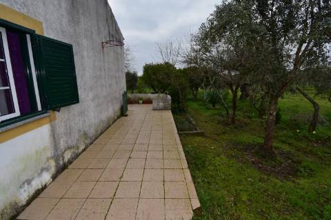 Conjunto de 2 terrenos rústicos com moradia térrea T2 localizado nas Mouriscas