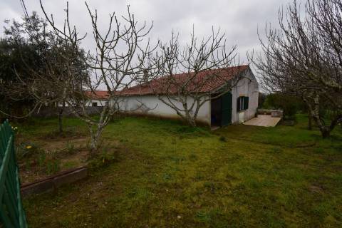 Conjunto de 2 terrenos rústicos com moradia térrea T2 localizado nas Mouriscas
