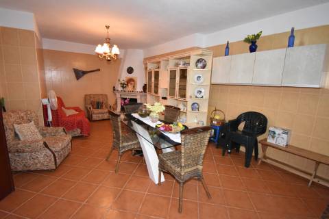 Conjunto de 2 terrenos rústicos com moradia térrea T2 localizado nas Mouriscas