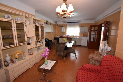 Conjunto de 2 terrenos rústicos com moradia térrea T2 localizado nas Mouriscas
