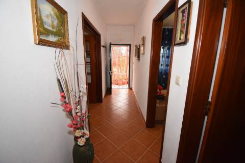 Conjunto de 2 terrenos rústicos com moradia térrea T2 localizado nas Mouriscas