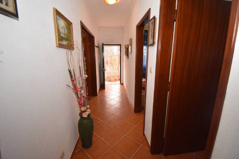 Conjunto de 2 terrenos rústicos com moradia térrea T2 localizado nas Mouriscas