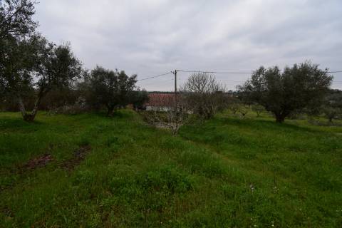 Conjunto de 2 terrenos rústicos com moradia térrea T2 localizado nas Mouriscas