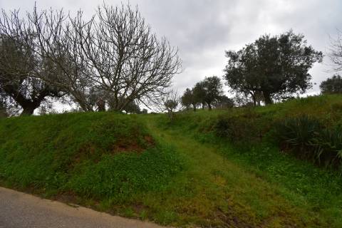 Conjunto de 2 terrenos rústicos com moradia térrea T2 localizado nas Mouriscas