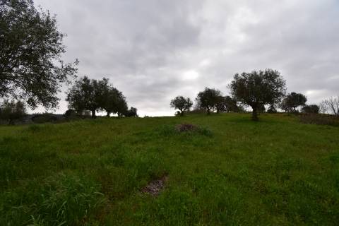 Conjunto de 2 terrenos rústicos com moradia térrea T2 localizado nas Mouriscas