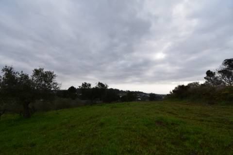 Conjunto de 2 terrenos rústicos com moradia térrea T2 localizado nas Mouriscas