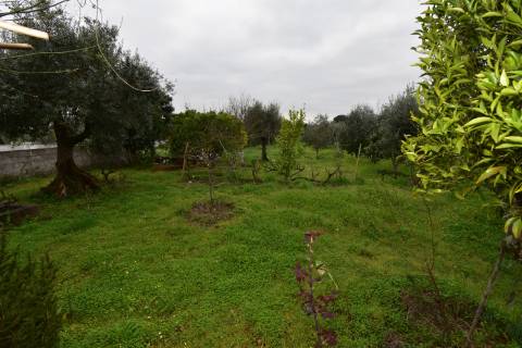 Conjunto de 2 terrenos rústicos com moradia térrea T2 localizado nas Mouriscas