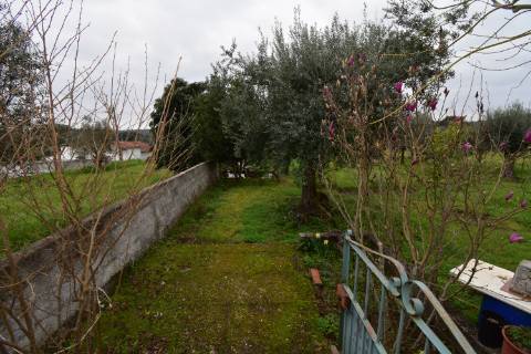 Conjunto de 2 terrenos rústicos com moradia térrea T2 localizado nas Mouriscas
