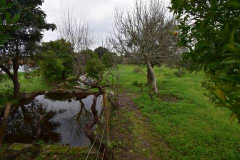 Conjunto de 2 terrenos rústicos com moradia térrea T2 localizado nas Mouriscas