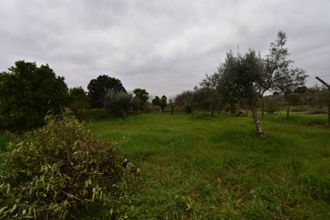 Conjunto de 2 terrenos rústicos com moradia térrea T2 localizado nas Mouriscas