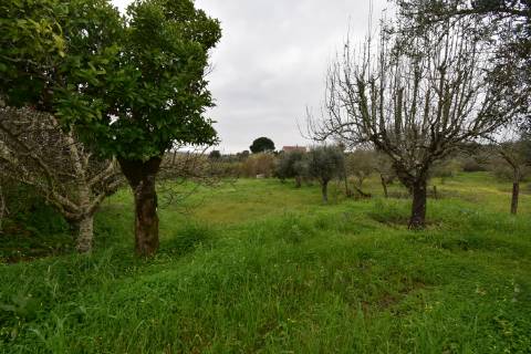 Conjunto de 2 terrenos rústicos com moradia térrea T2 localizado nas Mouriscas