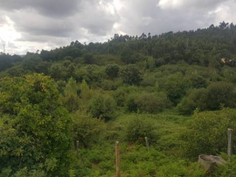Pequena Aldeia em Penha Longa