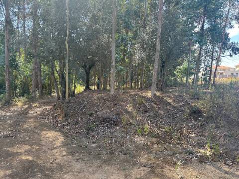 Terreno Plano, Oiã - Oliveira do Bairro