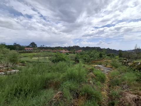 Casa de Campo T2 Independente em Vale de Cambra