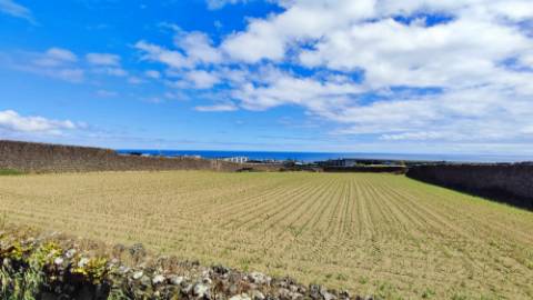 VENDA conjunta de 5 TERRENOS com potencial para construção em Ponta Delgada, Ilha de São Miguel, Açores