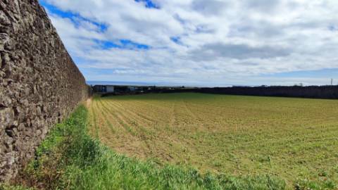 VENDA conjunta de 5 TERRENOS com potencial para construção em Ponta Delgada, Ilha de São Miguel, Açores