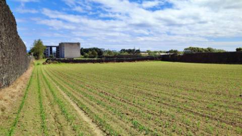 VENDA conjunta de 5 TERRENOS com potencial para construção em Ponta Delgada, Ilha de São Miguel, Açores