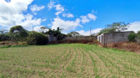 VENDA conjunta de 5 TERRENOS com potencial para construção em Ponta Delgada, Ilha de São Miguel, Açores