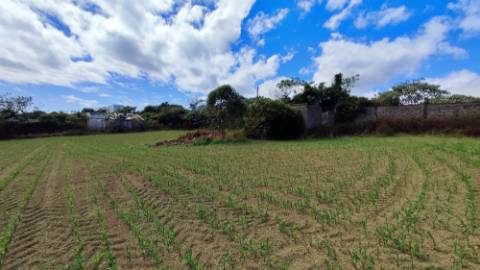 VENDA conjunta de 5 TERRENOS com potencial para construção em Ponta Delgada, Ilha de São Miguel, Açores