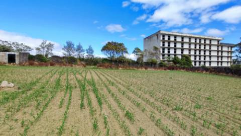 VENDA conjunta de 5 TERRENOS com potencial para construção em Ponta Delgada, Ilha de São Miguel, Açores