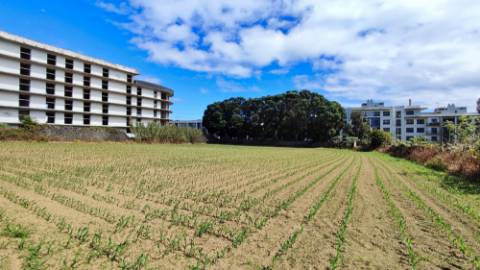 VENDA conjunta de 5 TERRENOS com potencial para construção em Ponta Delgada, Ilha de São Miguel, Açores