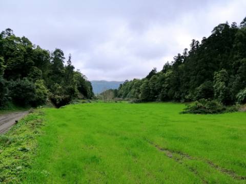 VENDA de AMPLO TERRENO rústico com pastagem e mata - Sete Cidades, Ponta Delgada, Ilha de São Miguel, Açores