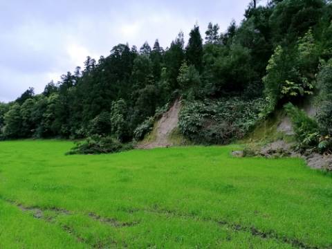 VENDA de AMPLO TERRENO rústico com pastagem e mata - Sete Cidades, Ponta Delgada, Ilha de São Miguel, Açores