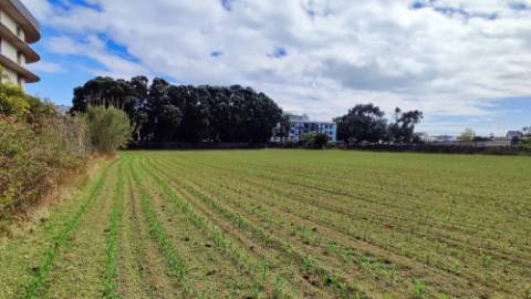 VENDA de TERRENO com potencial para construção - São José, Ponta Delgada, Ilha de São Miguel, Açores