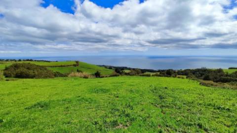 VENDA de TERRENO/PRÉDIO RÚSTICO - Vila Franca do Campo (São Miguel), Ilha de São Miguel, Açores