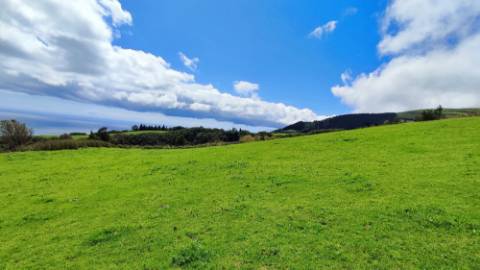 VENDA de TERRENO/PRÉDIO RÚSTICO - Vila Franca do Campo (São Miguel), Ilha de São Miguel, Açores