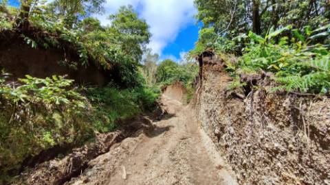 VENDA de TERRENO/PRÉDIO RÚSTICO - Vila Franca do Campo (São Miguel), Ilha de São Miguel, Açores