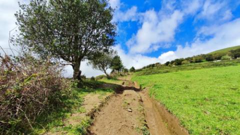 VENDA de TERRENO/PRÉDIO RÚSTICO - Vila Franca do Campo (São Miguel), Ilha de São Miguel, Açores
