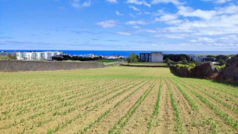 VENDA de TERRENO com potencial para construção - São José, Ponta Delgada, Ilha de São Miguel, Açores