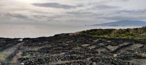 VENDA de AMPLO TERRENO com VISTA MAR e Montanha da Ilha do Pico - Candelária, Madalena, Ilha do Pico, Açores