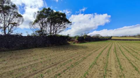 VENDA de TERRENO com potencial para Construção - São José, Ponta Delgada, Ilha de São Miguel, Açores
