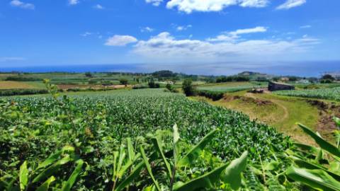 VENDA de AMPLO TERRENO - Santa Cruz, Lagoa (Açores), Ilha de São Miguel, Açores, Portugal