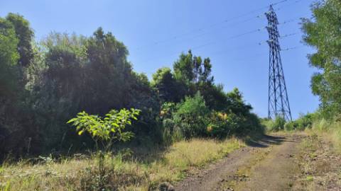 Amplo TERRENO em zona Industrial com potencial construtivo - Pico da Pedra, Ribeira Grande, Ilha de São Miguel, Açores