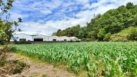 AMPLO TERRENO para projecto industrial junto ao Pico da Pedra, Ribeira Grande, Ilha de São Miguel, Açores