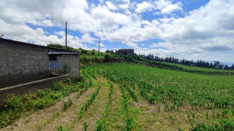 VENDA de TERRENO rústico com vista mar - Ribeira Funda, Fenais da Ajuda, Ribeira Grande, Ilha de São Miguel, Açores