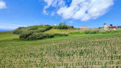 VENDA de TERRENO rústico com vista mar - Ribeira Funda, Fenais da Ajuda, Ribeira Grande, Ilha de São Miguel, Açores
