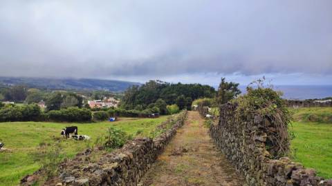 TERRENO para VENDA - São Vicente Ferreira, Ponta Delgada, Ilha de São Miguel, Açores