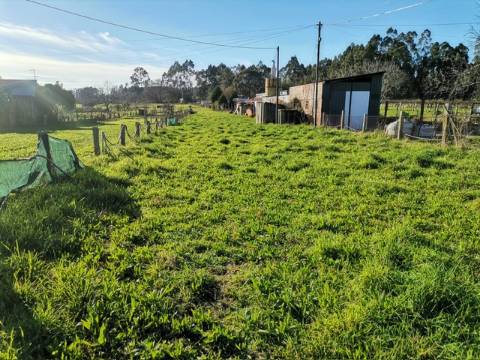Terreno para Construção